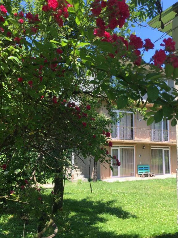 Dani'S House Kobuleti Exterior photo
